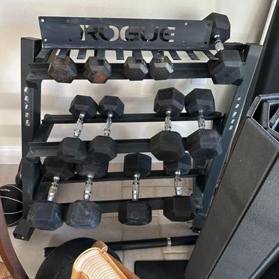 Free Weights