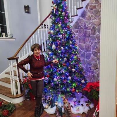 This large Christmas tree has hydraulic lift and lighting. It’s ready to go and display with ease. 