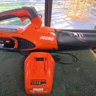 Ha167 eforce dpb 2500 leaf blower cordless