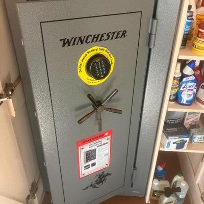 Winchester TS-22 gun safe