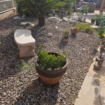 Outdoor Plants/Pots
