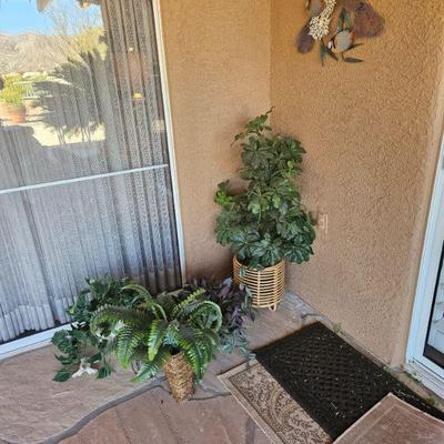 Plants