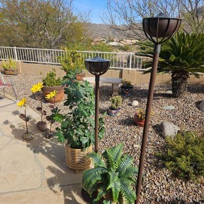 Outdoor Plants/Pots