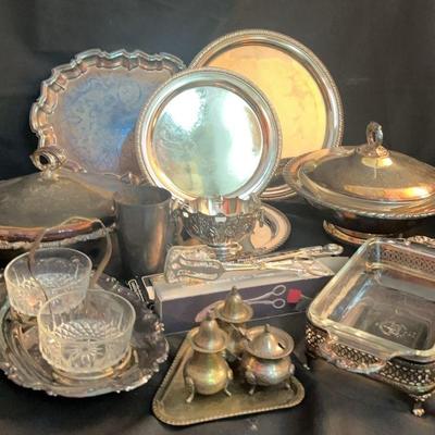 Silverplated Variety