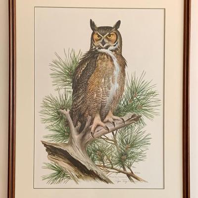 Roger Tory Peterson Great Horned Owl 9/750 image 18 x 25”