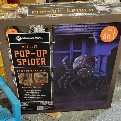 6FT Spider! 