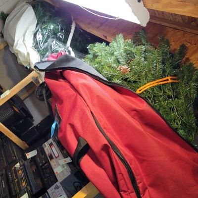 Christmas Trees