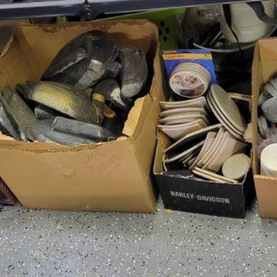 Decoys 