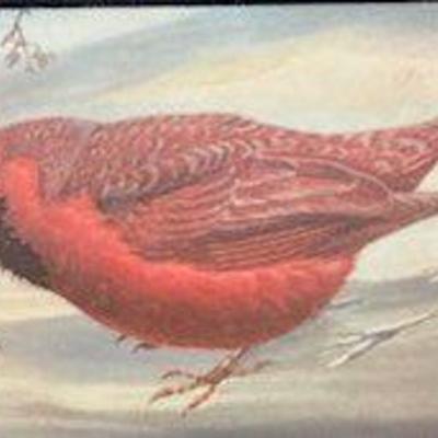 BAP059 Beautiful Hand Painted Cardinal