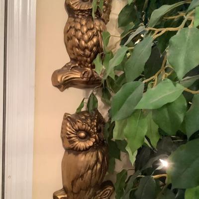$18 pair of owls