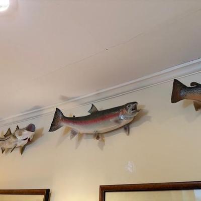 SOLD - Freshwater Fish mounts (6)