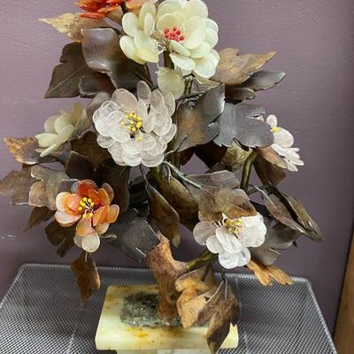 MEDIUM JADE PLANT