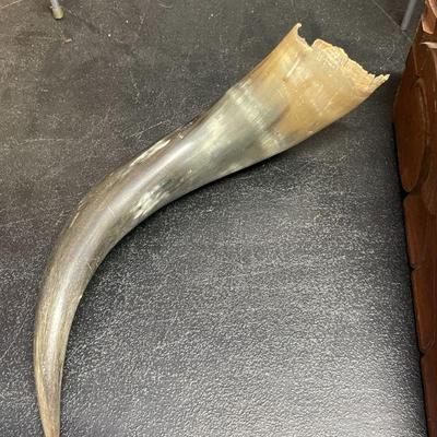 HORN