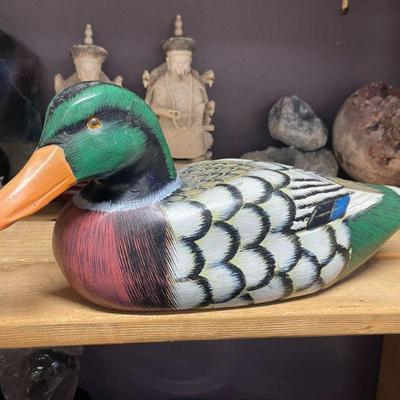 WOOD DUCK