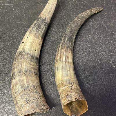 HORNS