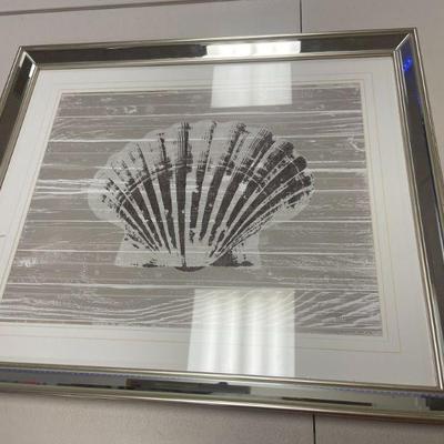 SHELL FRAMED PRINT