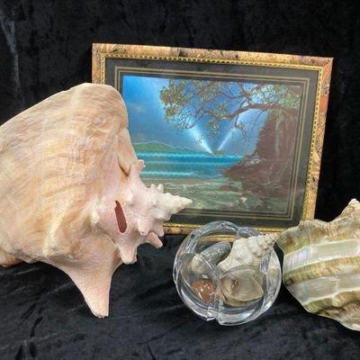 Seashells and beach art