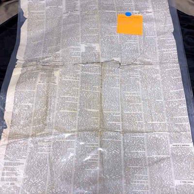 June 26 1880 courier journal