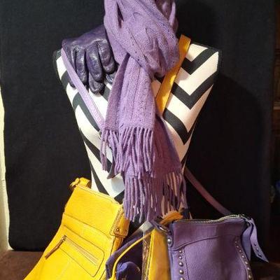 U Of W Huskies * Gold Fossil Handbag * Purple B Makowsky purse * Gloves * Nordstrom Scarf
