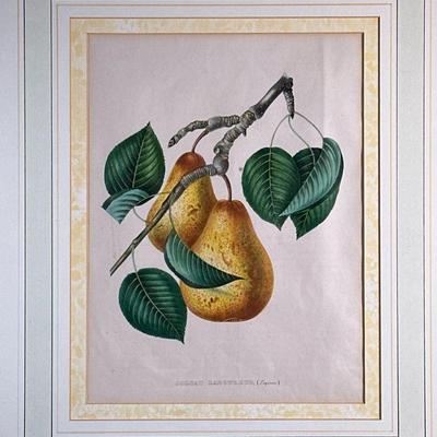 PEACH STILL LIFE LITHOGRAPH | Botanical study, Soldat Laboureup lithograph on paper. 11.5 x 9 in. sight. In a gilt frame - w. 18.75 x l....