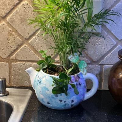 Live plant