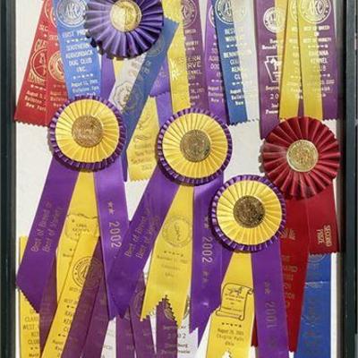 Lot 192  
AKC Mounted Show Dog Ribbon Collection