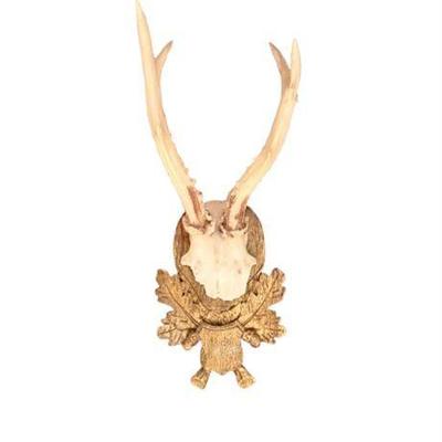 Lot 033 
Black Forest Roe Deer Mounted Antlers
