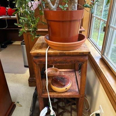 Houseplants