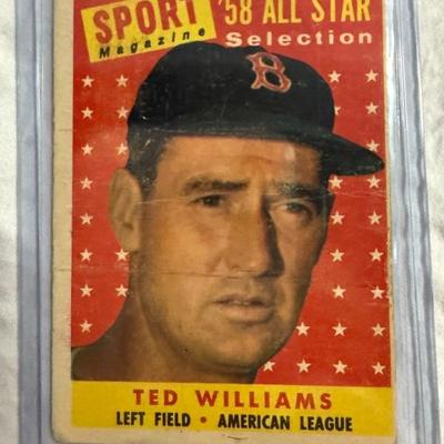 Ted Williams 
