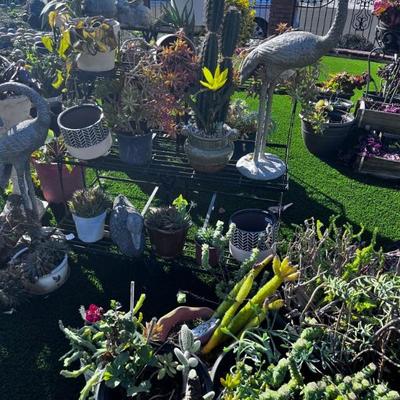 OUTDOOR FLORAL FOR SALE