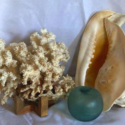 Fishing float coral and shell