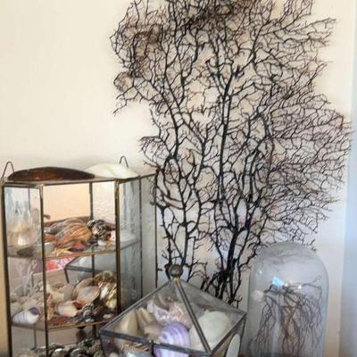 Collections of shells