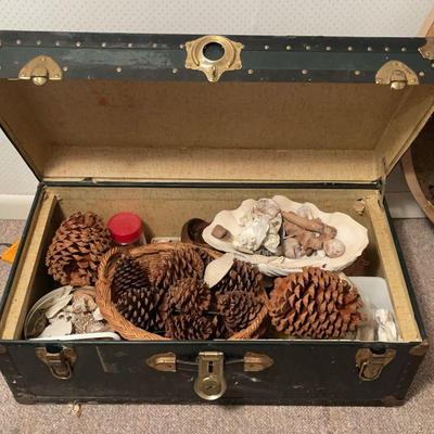 Trunk with shells