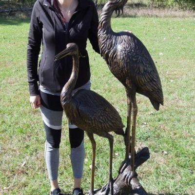 bronze double crane sculpture/fountain