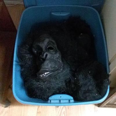 Gorilla suite
