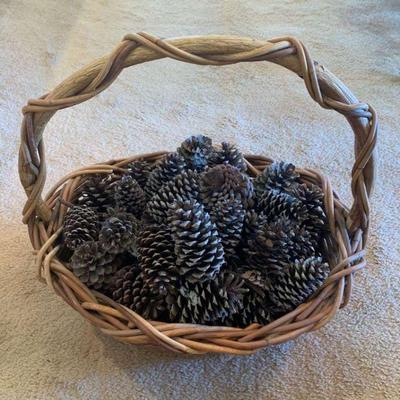 RSN106 Basket of Pinecones