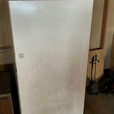 Single Door Stand Up Freezer 