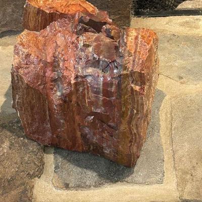 Petrified Wood Decor 