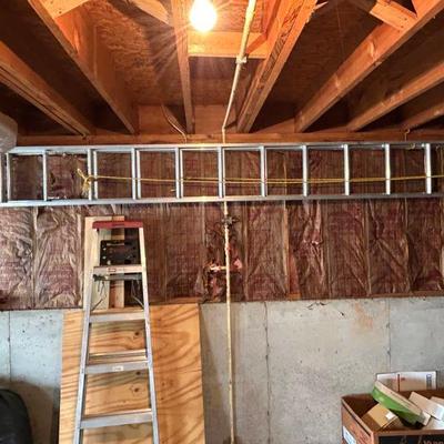 Extension Ladder and Telescoping Ladder 