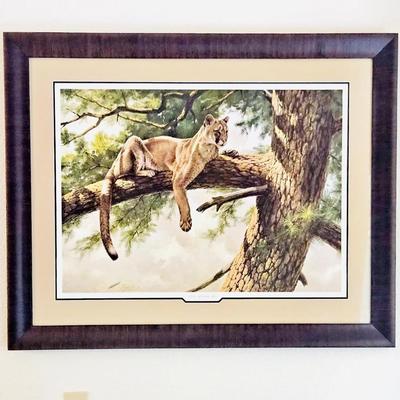 "Rock Mountain Lion" Artist: Guy Cohelech Signed Double Matted Lithograph