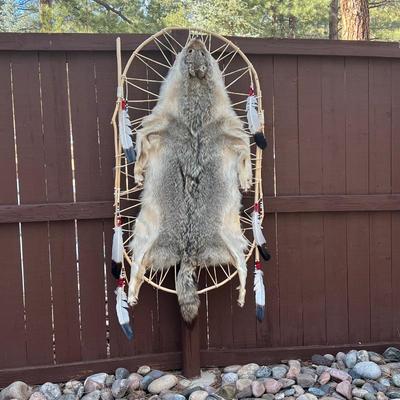 Native American Animal Hide Wall Hanging - Coyote pelt on willow branch drying rack, turkey feathers, beads and leather adornments