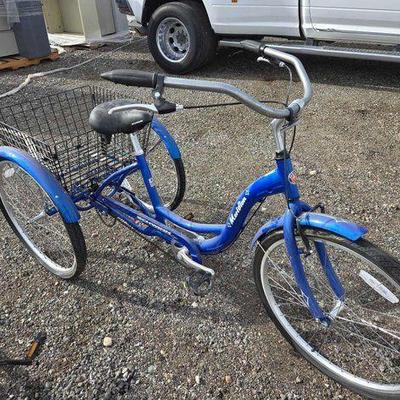 #85000 • Schwinn Meridian Tricycle
