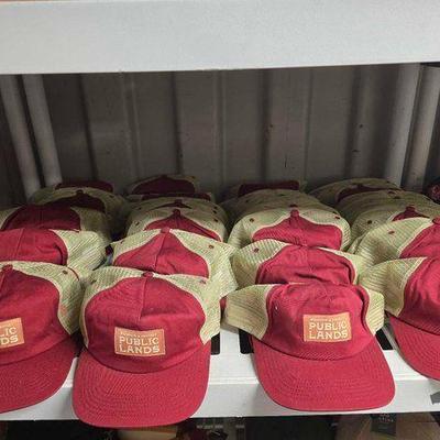 #7116 • (39) The Landmark Project "Preserve & Protect Public Lands" Trucker Hats
