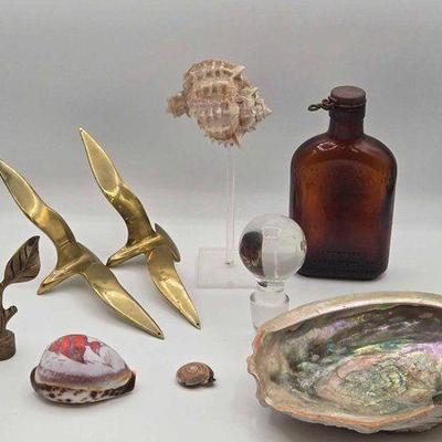 #1901 • Seashells, Brass Decor & More
