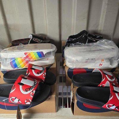 #7064 • NEW!!! (6) Pairs of Champion Slides
