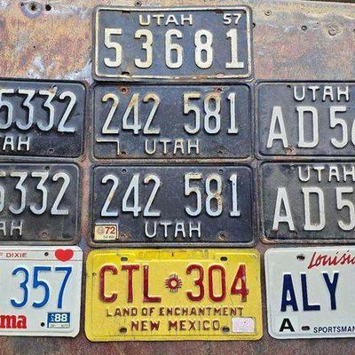 #6009 • (10) License Plates
