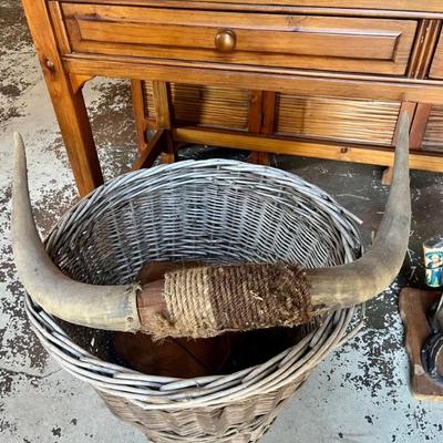 Bull Horns