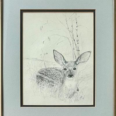 Original V. Scott Signed Fawn Pencil In Silver Tone Frame And Glass Front