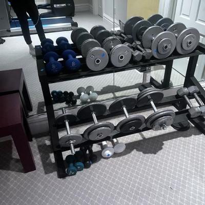 WEIGHTS AND STAND