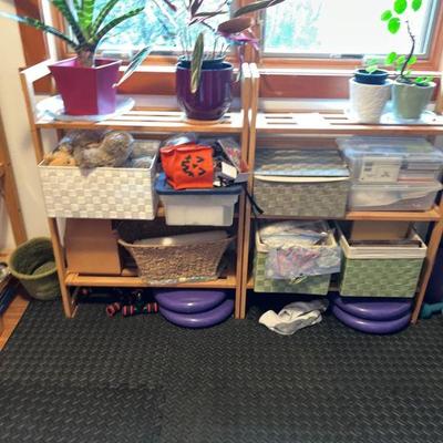 Houseplants; shelves